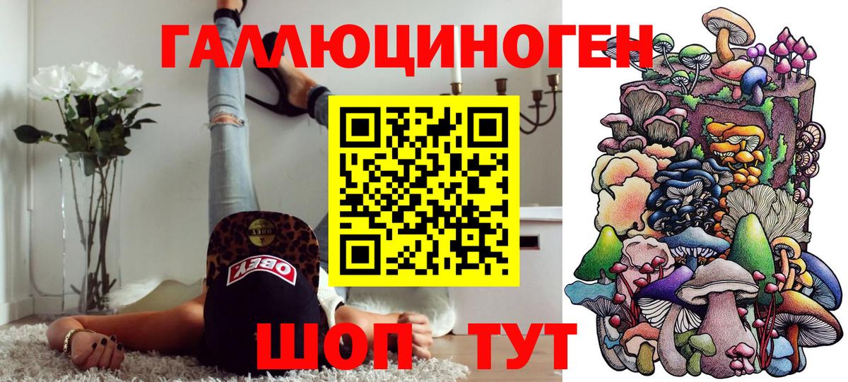 Галлюциногенные грибы Psilocybine cubensis Майский