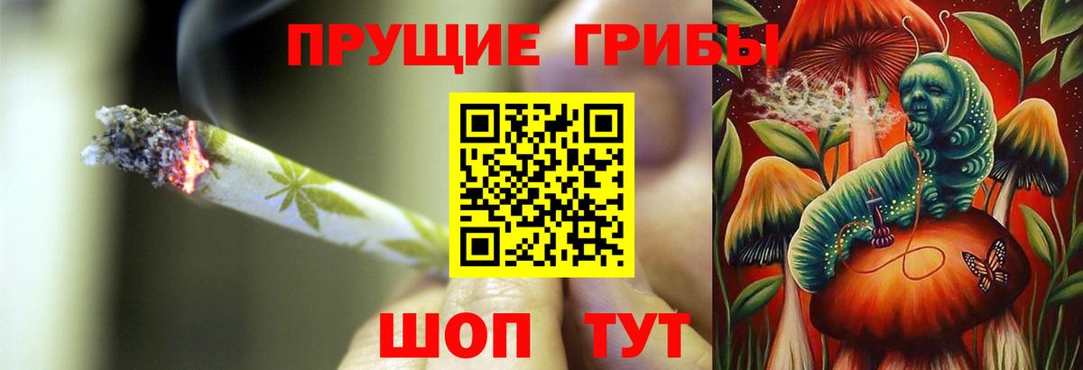 Псилоцибиновые грибы Magic Shrooms  Псилоцибиновые грибы GOLDEN TEACHER  Майский  Вход с VPN 